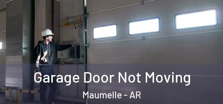  Garage Door Not Moving Maumelle - AR