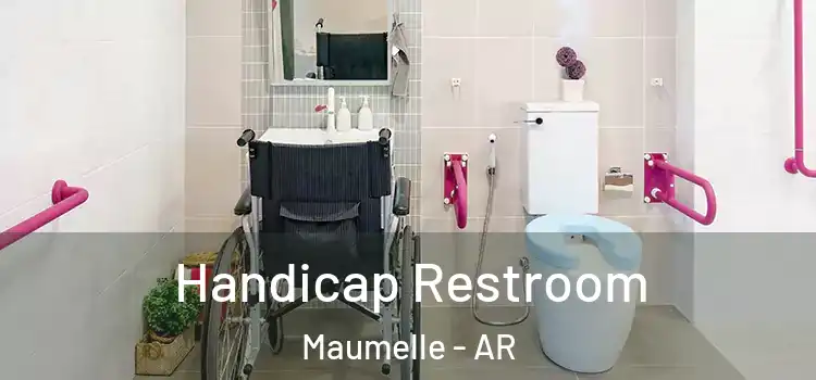 Handicap Restroom Maumelle - AR